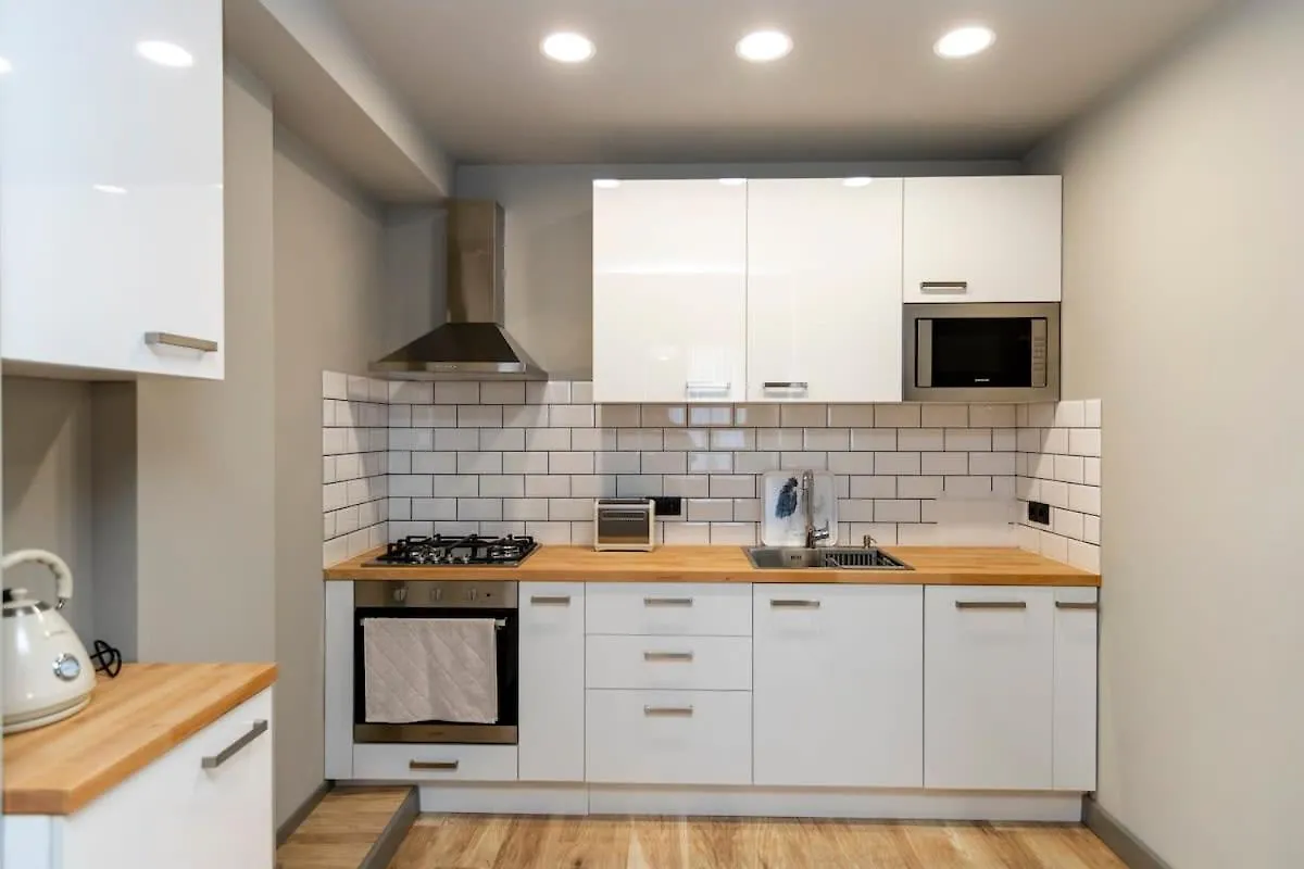 Stylish Newly Renovated 1 Bedroom Apt On The Modern Abashidze Street Tbilisi Casa vacanze